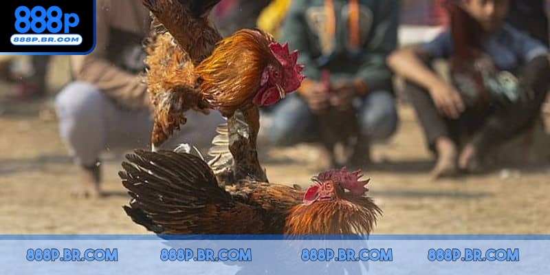 Tự do đầu tư bất cứ khi nào, ở bất kỳ đâu