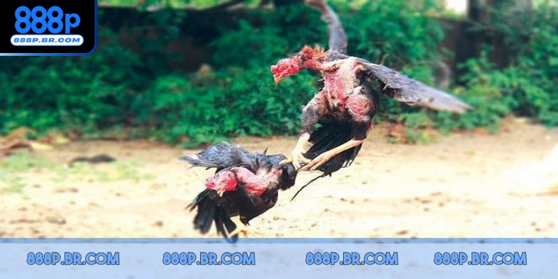 Hiểu rõ bí quyết giúp bạn cải thiện kỹ năng